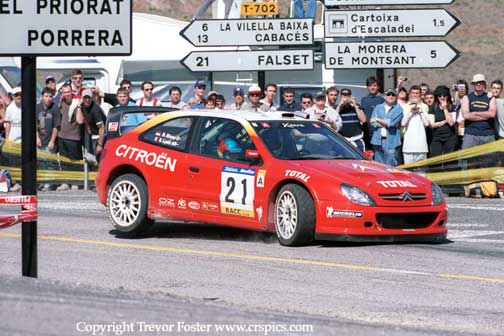 Sebastian_Loeb_Cat_02.jpg